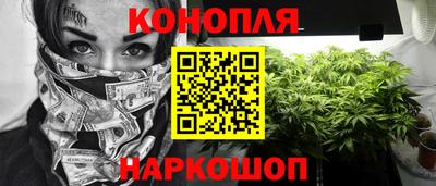крисы Братск