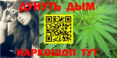 крисы Братск