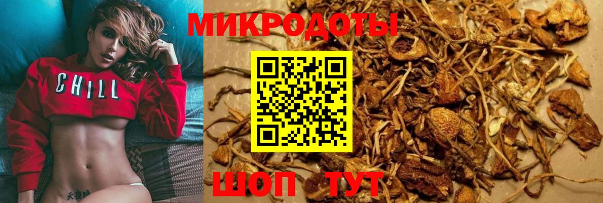 Псилоцибиновые грибы мицелий Златоуст