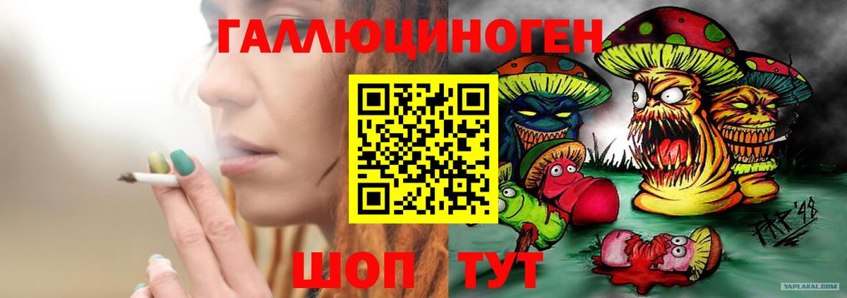 Златоуст  Галлюциногенные грибы Psilocybe  Вход с VPN 